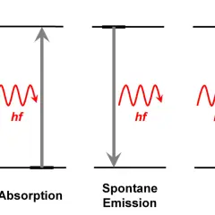 Schematische Darstellung von Absorption, spontaner und induzierter Emission von Licht. Ein Photon mit Energie hf wird absorbiert, um ein Atom anzuregen.