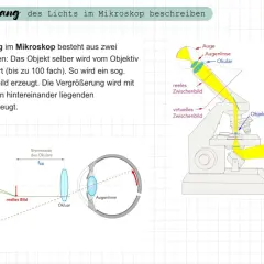 Schematische Darstellung des Lichtstrahlengangs im Mikroskop mit Beschriftung von Objektiv, Okular, virtuellem und reellem Zwischenbild.