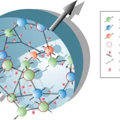 Darstellung des Standardmodells der Teilchenphysik mit Quarks, Antiquarks und Gluonen, die durch Federn verbunden sind.