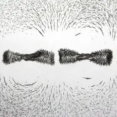 Eisenpulver zeigt Magnetfeldlinien um einen Stabmagneten. Ein klassisches Beispiel für Magnetismus in der Physik.