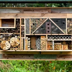 Ein liebevoll gestaltetes Insektenhotel selber bauen: Holz, Zapfen, Röhren und Löcher bieten Unterschlupf für nützliche Insekten.