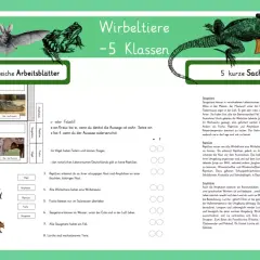 Arbeitsblätter zu Wirbeltiere - 5 Klassen: Eulen, Fledermäuse, Frösche, Echsen, Fische. Lerne die Klassen der Wirbeltiere kennen.