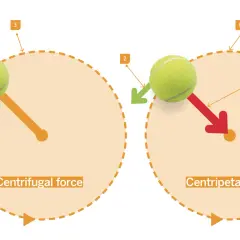 Tennisbälle in Bewegung: Zentrifugalkraft (Scheinkraft) wirkt nach außen, Zentripetalkraft nach innen.