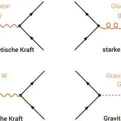 Vier Feynman-Diagramme zeigen Wechselwirkungen: Photon (elektromagnetisch), Gluon (stark), W/Z-Bosonen (schwach) und ein fraglicher Graviton (Gravitation).