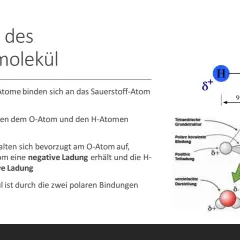 Die Struktur des Wassermoleküls zeigt die Eigenschaften von Wasser: zwei H-Atome an O, Winkel 104,5°, polare Bindungen, negative Ladung am O, positive an H.