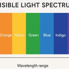 Das Spektrum des sichtbaren Lichts zeigt die Farben Rot, Orange, Gelb, Grün, Blau, Indigo und Violett, angeordnet nach Wellenlänge von ca. 700 nm bis 400 nm.