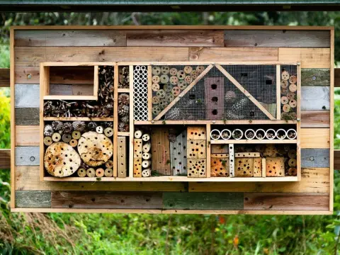 Insektenhotel selber bauen - So wird es wirklich genutzt