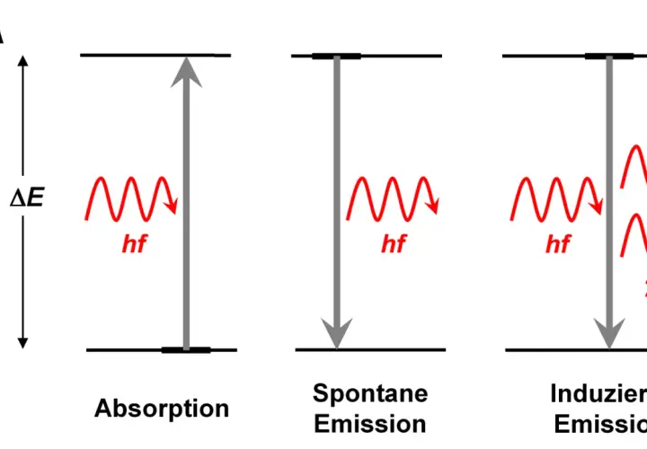 Schematische Darstellung von Absorption, spontaner und induzierter Emission von Licht. Ein Photon mit Energie hf wird absorbiert, um ein Atom anzuregen.