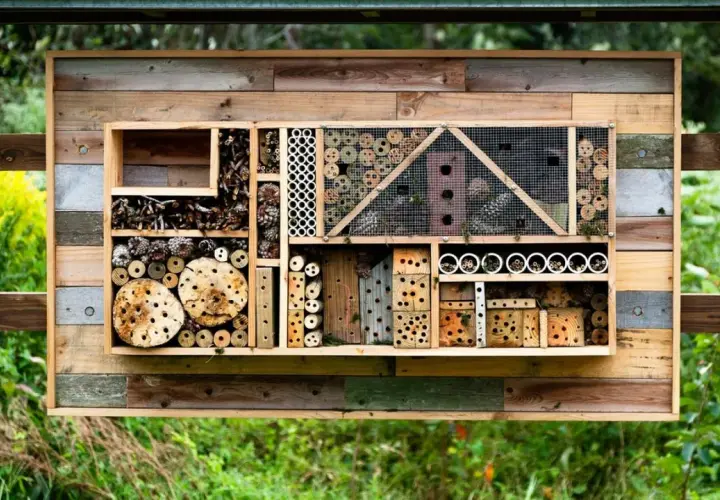 Ein liebevoll gestaltetes Insektenhotel selber bauen: Holz, Zapfen, Röhren und Löcher bieten Unterschlupf für nützliche Insekten.
