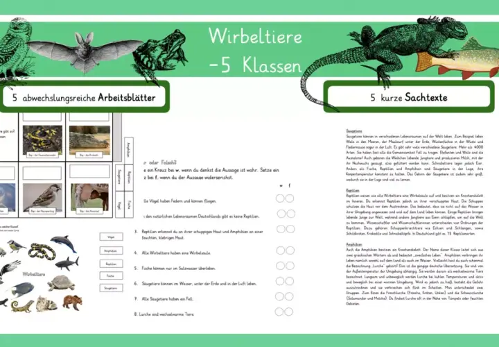 Arbeitsblätter zu Wirbeltiere - 5 Klassen: Eulen, Fledermäuse, Frösche, Echsen, Fische. Lerne die Klassen der Wirbeltiere kennen.
