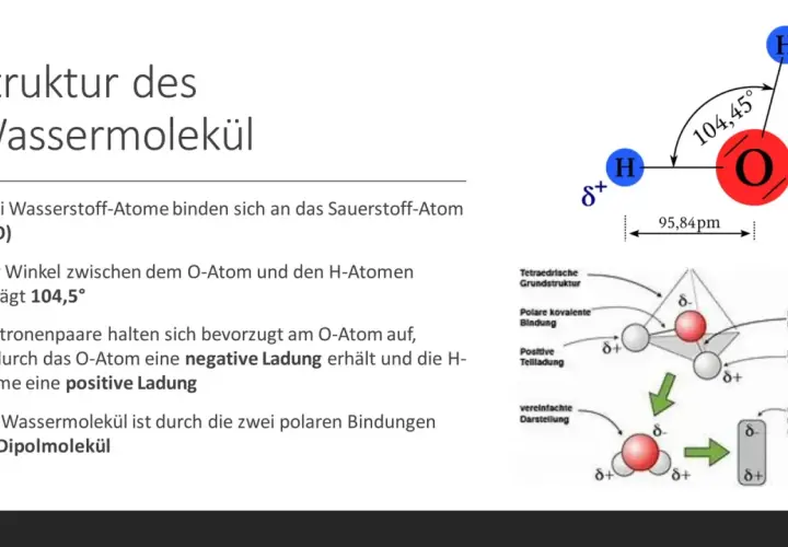 Die Struktur des Wassermoleküls zeigt die Eigenschaften von Wasser: zwei H-Atome an O, Winkel 104,5°, polare Bindungen, negative Ladung am O, positive an H.