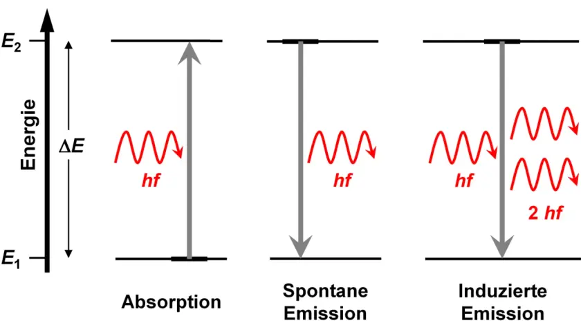 Schematische Darstellung von Absorption, spontaner und induzierter Emission von Licht. Ein Photon mit Energie hf wird absorbiert, um ein Atom anzuregen.