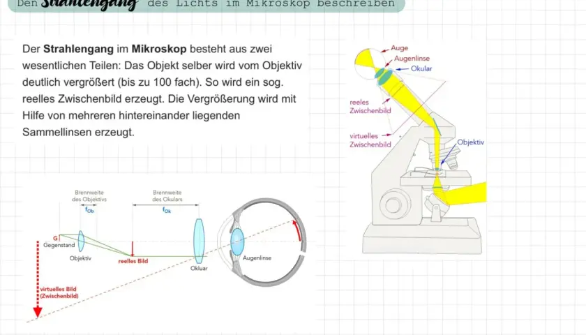 Schematische Darstellung des Lichtstrahlengangs im Mikroskop mit Beschriftung von Objektiv, Okular, virtuellem und reellem Zwischenbild.