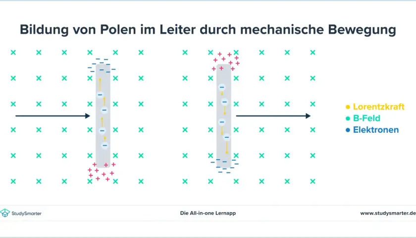 Die linke Hand Regel erklärt, wie sich Ladungsträger in einem Leiter bewegen, wenn dieser ein Magnetfeld durchquert.