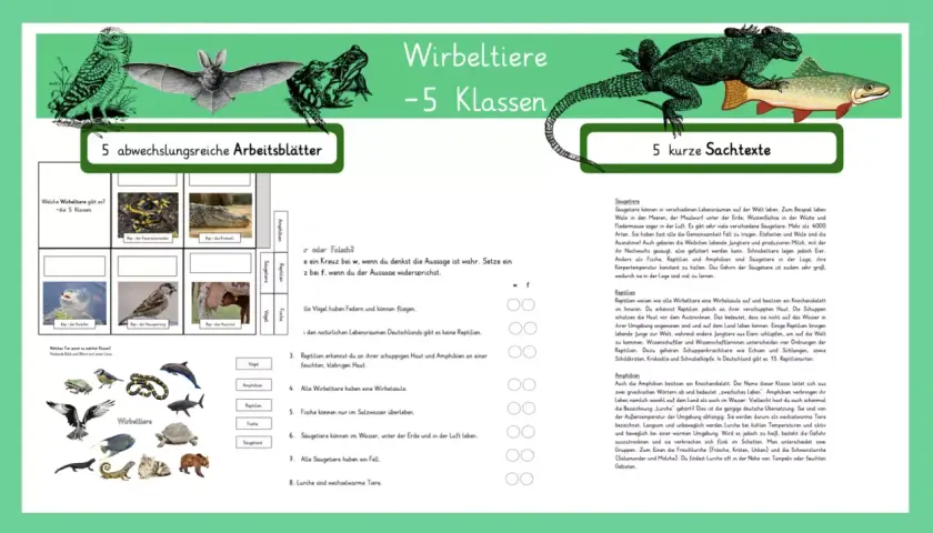 Arbeitsblätter zu Wirbeltiere - 5 Klassen: Eulen, Fledermäuse, Frösche, Echsen, Fische. Lerne die Klassen der Wirbeltiere kennen.