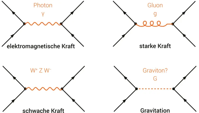 Vier Feynman-Diagramme zeigen Wechselwirkungen: Photon (elektromagnetisch), Gluon (stark), W/Z-Bosonen (schwach) und ein fraglicher Graviton (Gravitation).