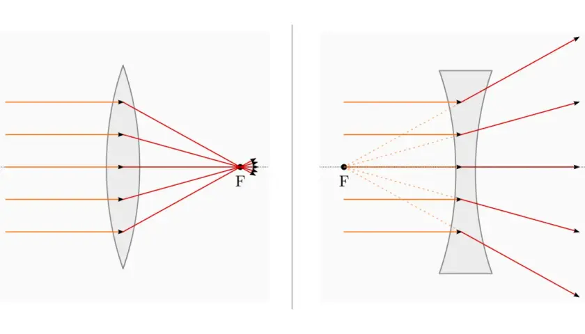 Vergleich von optischen Linsen: Eine Sammellinse bündelt Lichtstrahlen, eine Zerstreuungslinse streut sie.