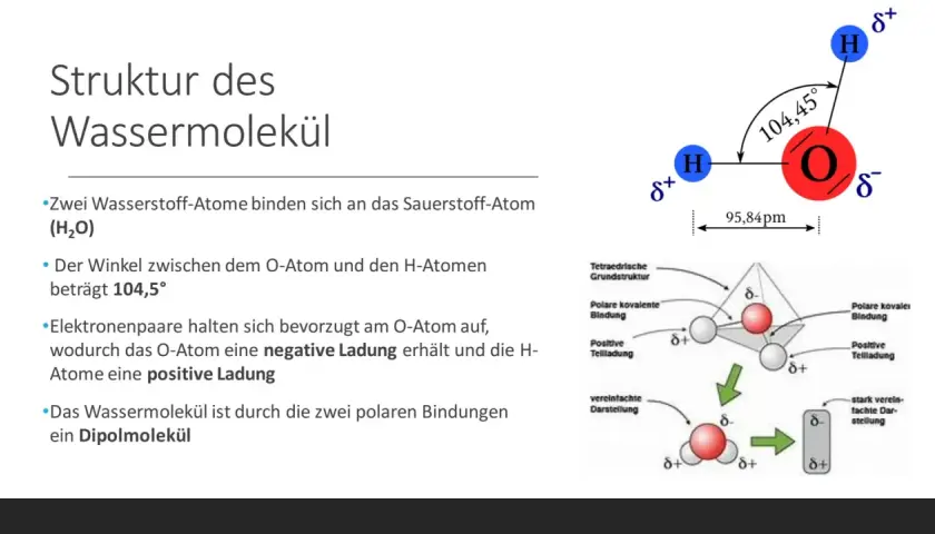 Die Struktur des Wassermoleküls zeigt die Eigenschaften von Wasser: zwei H-Atome an O, Winkel 104,5°, polare Bindungen, negative Ladung am O, positive an H.