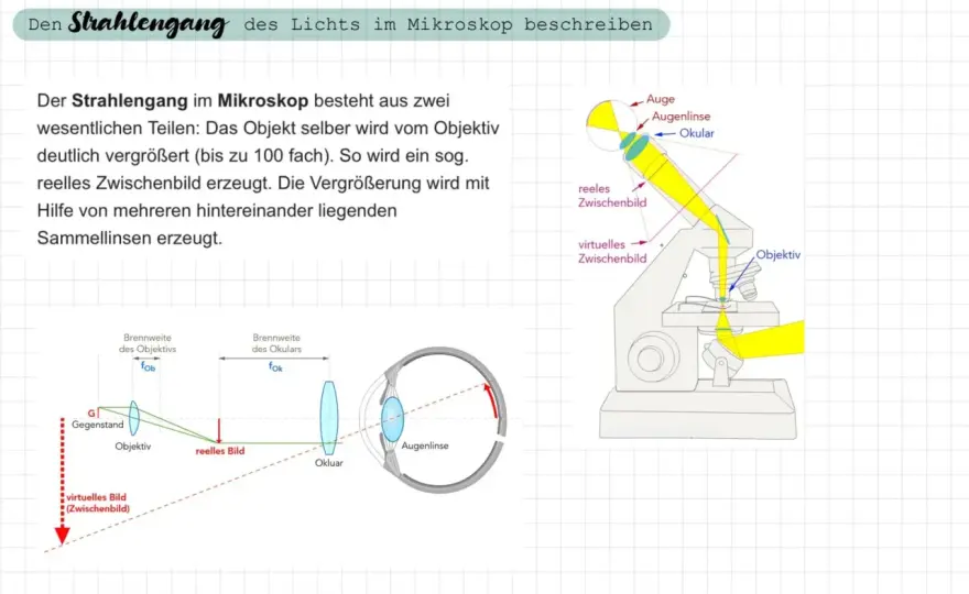 Mikroskop beschriften - So geht's richtig & ohne Verwechslung