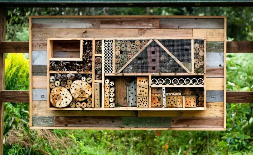 Insektenhotel selber bauen - So wird es wirklich genutzt