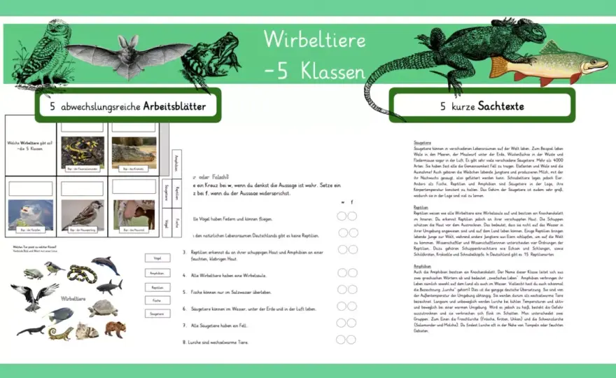 Wirbeltiere 5. Klasse - So verstehst du alle 5 Klassen!