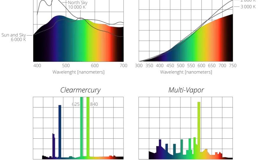 Kontinuierliches Spektrum - Was es ist & warum es wichtig ist