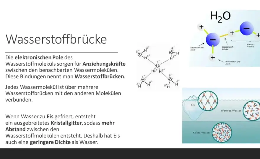 H₂O verstehen - Was Wasser so besonders macht