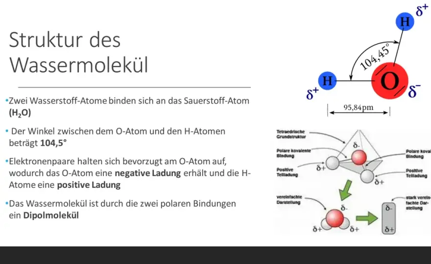 Eigenschaften von Wasser - Warum es so besonders ist