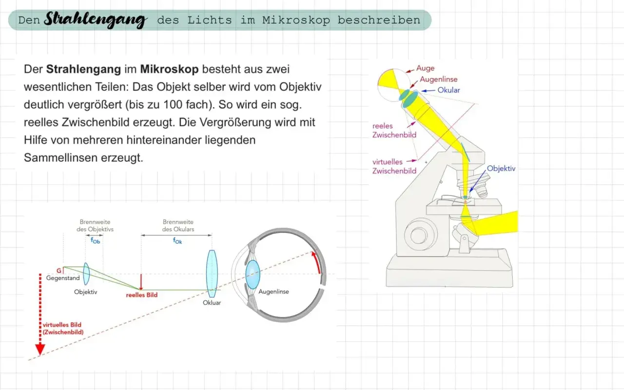 Schematische Darstellung des Lichtstrahlengangs im Mikroskop mit Beschriftung von Objektiv, Okular, virtuellem und reellem Zwischenbild.