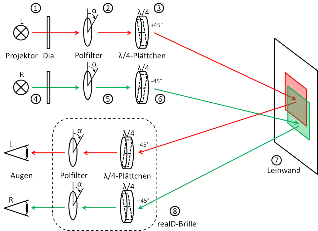 Schema zeigt, wie polarisiertes Licht für 3D-Projektion genutzt wird. Zwei Projektoren erzeugen rote und grüne Bilder, die durch Filter und Plättchen auf eine Leinwand gelenkt werden.