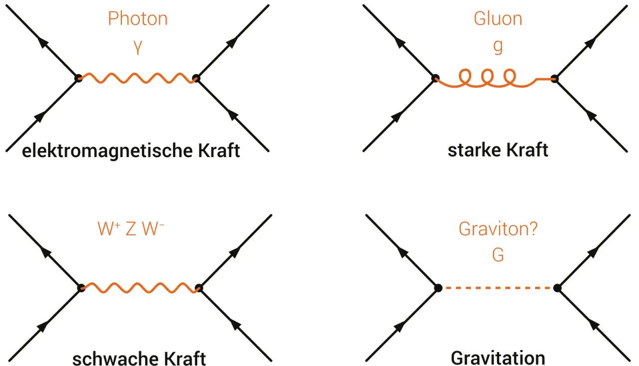 Vier Feynman-Diagramme zeigen Wechselwirkungen: Photon (elektromagnetisch), Gluon (stark), W/Z-Bosonen (schwach) und ein fraglicher Graviton (Gravitation).