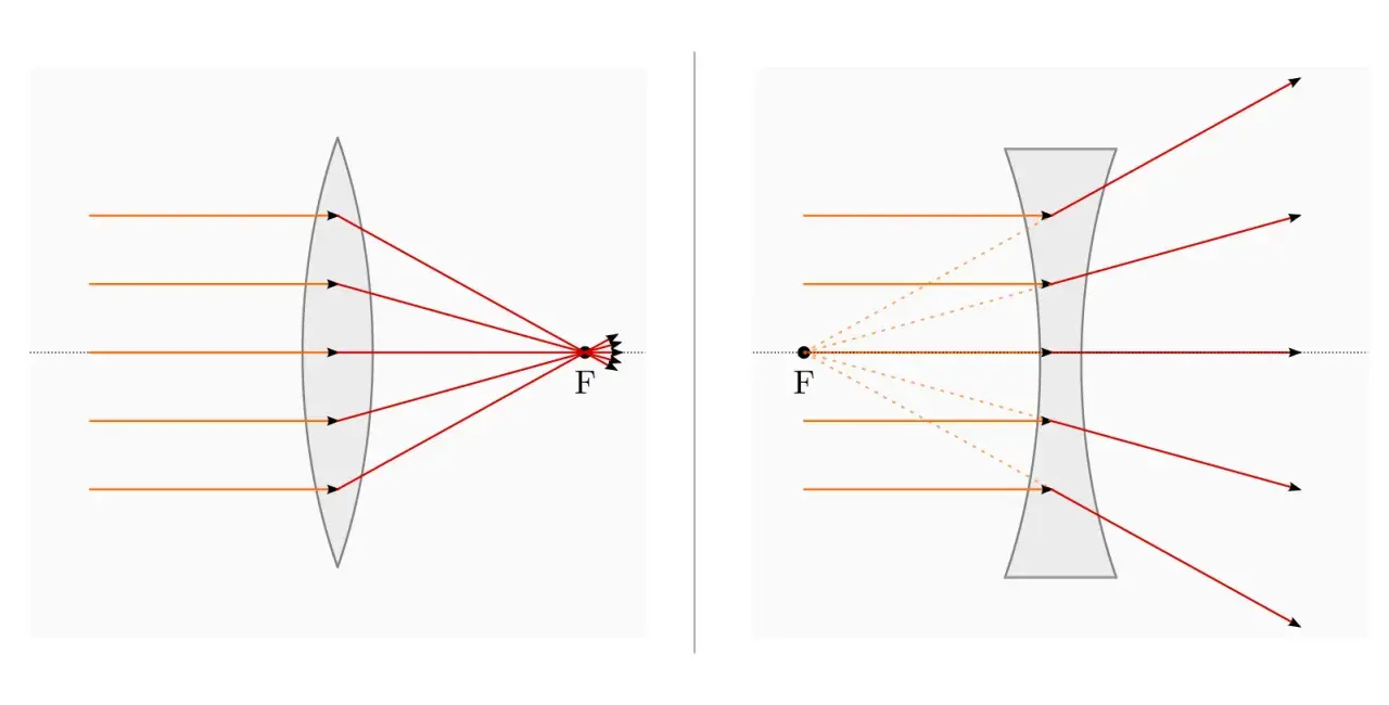 Vergleich von optischen Linsen: Eine Sammellinse bündelt Lichtstrahlen, eine Zerstreuungslinse streut sie.