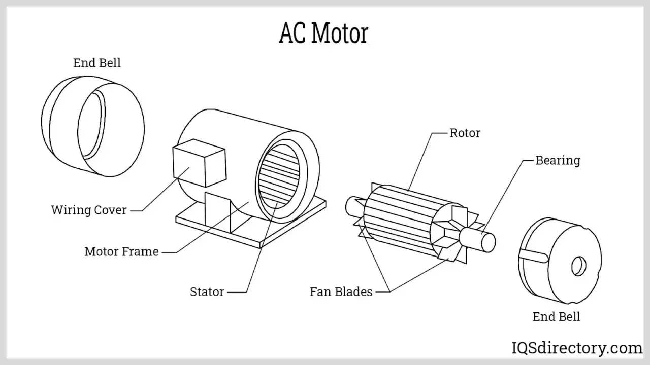 Exploded view eines AC-Motors, der den Aufbau mit Stator, Rotor, Lager, L&uuml;fterfl&uuml;geln, Geh&auml;use und Endkappen zeigt.