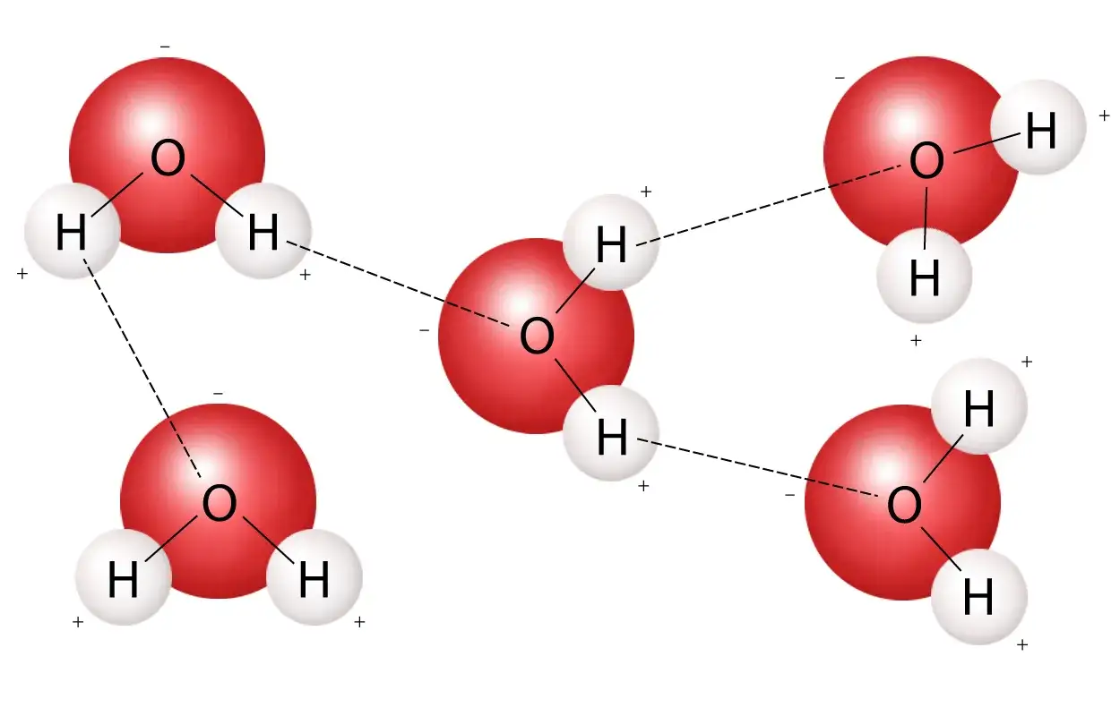 Moleküle von H2O, Wasser, mit roten Sauerstoffatomen und weißen Wasserstoffatomen, die durch gestrichelte Linien verbunden sind, was ist H2O.